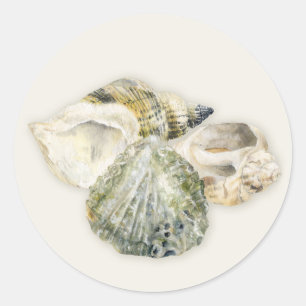 autocollants mariages de coquillages de plage