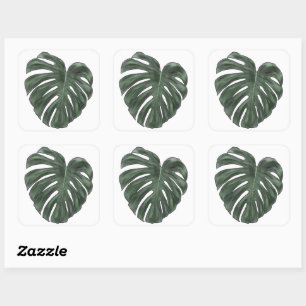 Autocollants Monstera