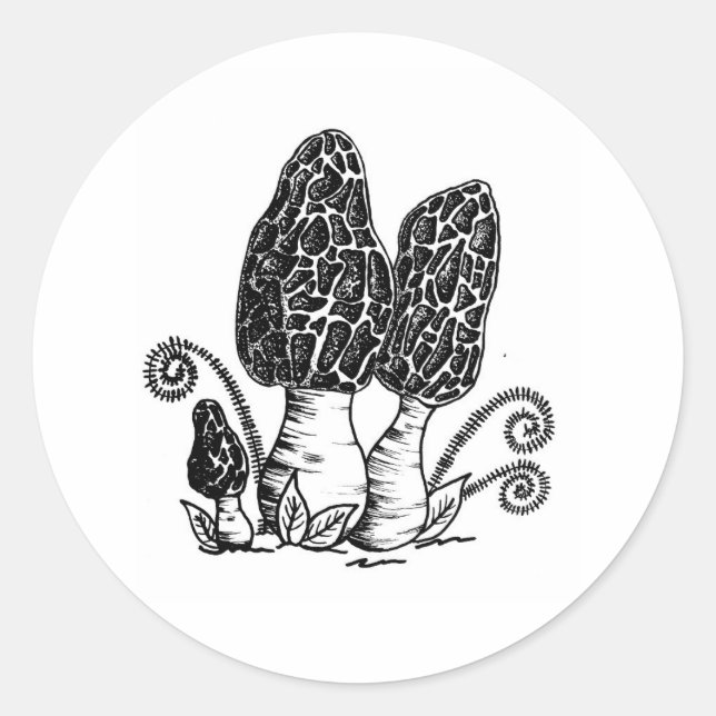 Autocollants Morel Mushroom (Devant)
