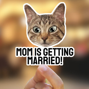 Autocollants personnalisés pour animaux de compagn