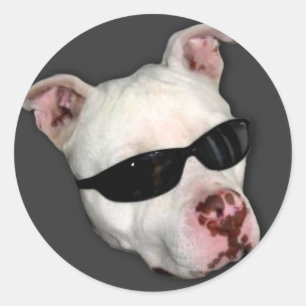 Autocollants Pitbull