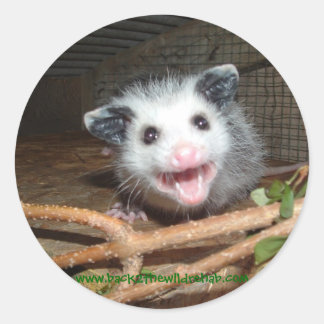 autocollants pour bébé opossum