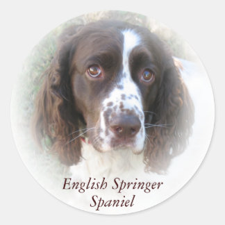 Autocollants pour chien espagnol Springer anglais