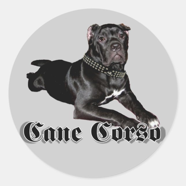Autocollants pour chiot Cane Corso (Devant)