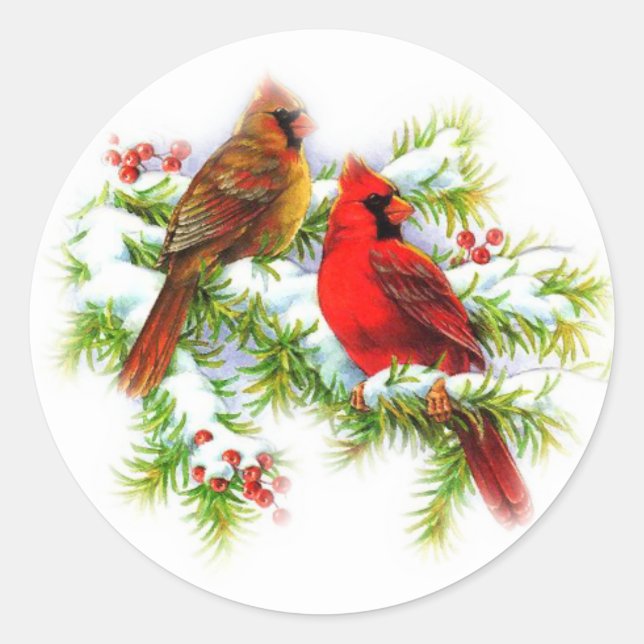 Autocollants pour oiseaux d'hiver (Devant)