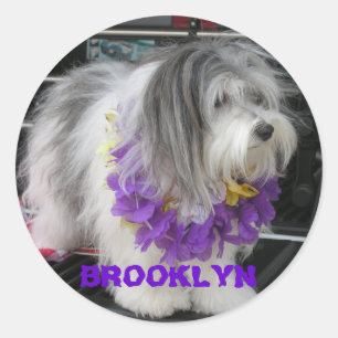 AUTOCOLLANTS POURPRES DE BROOKLYN HAWAÏ