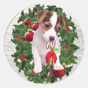 Autocollants précieux de Noël de Jack Russell