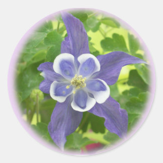 Autocollants ronds à fleurs de Columbine Aquilegia