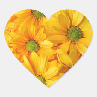 Autocollants Sunflower Dreams qui Sourient en Reto