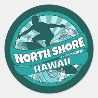 Autocollants turquoises du logo de surfeur North S
