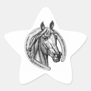 Autocollants vintages d'étoile de cheval et de fer