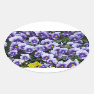 Autocollants violets