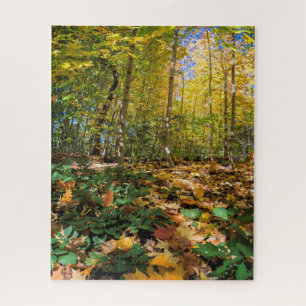 Automne à Central Park New York Jigsaw Puzzle