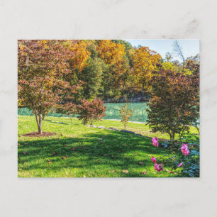Automne À La Carte Postale Dogwood