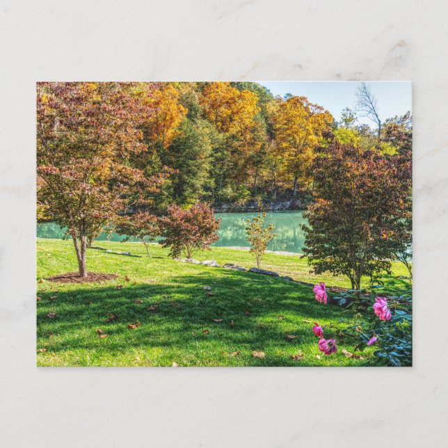 Automne À La Carte Postale Dogwood (Devant)
