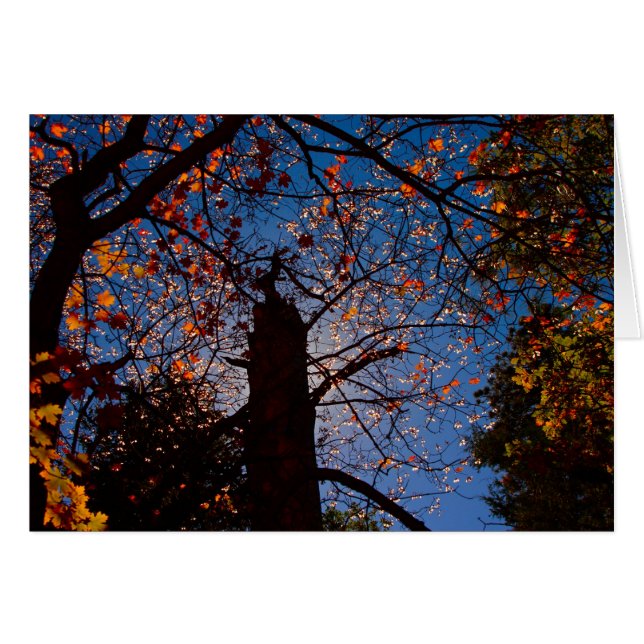 Automne au Nouveau-Mexique (Devant horizontal)
