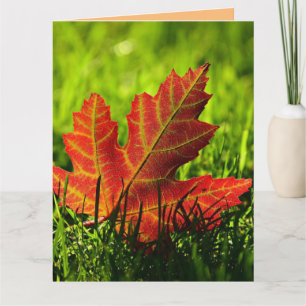 AUTOMNE AUTOMNE FALL ANNIVERSAIRE CARTE DE RECONNA