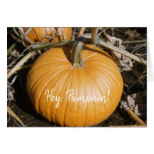 Automne Big Orange HALLOWEEN Citrouille Automne Sq