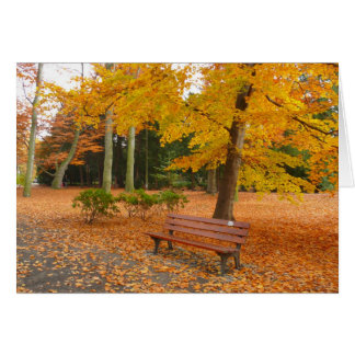 Automne calme et tranquille dans le parc