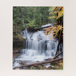 Automne dans la forêt du Nord - 6 Jigsaw Puzzle