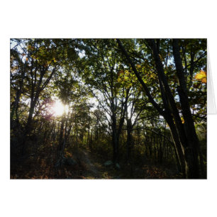 Automne Matin au Parc national de Shenandoah