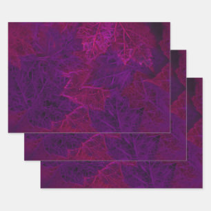 Automne Purple rose Neon foncé Feuilles d'érable