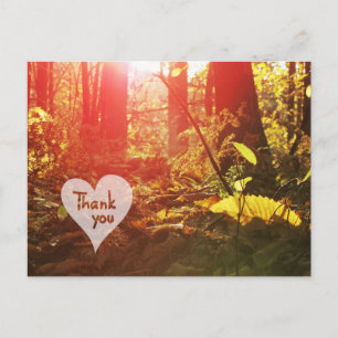 Automne Sunshine Forest Heart Merci Carte postale
