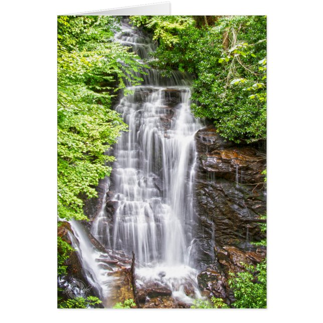 Automnes de Soco (Devant)