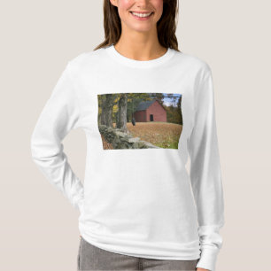 Autoreifen-Schaukel an einer Straße im Süden Vermo T-Shirt