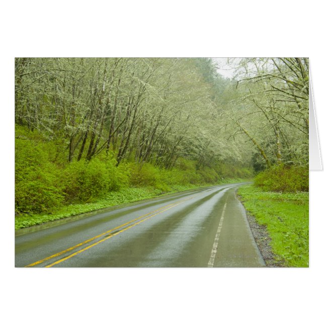 Autoroute éloignée à travers la forêt (Devant horizontal)
