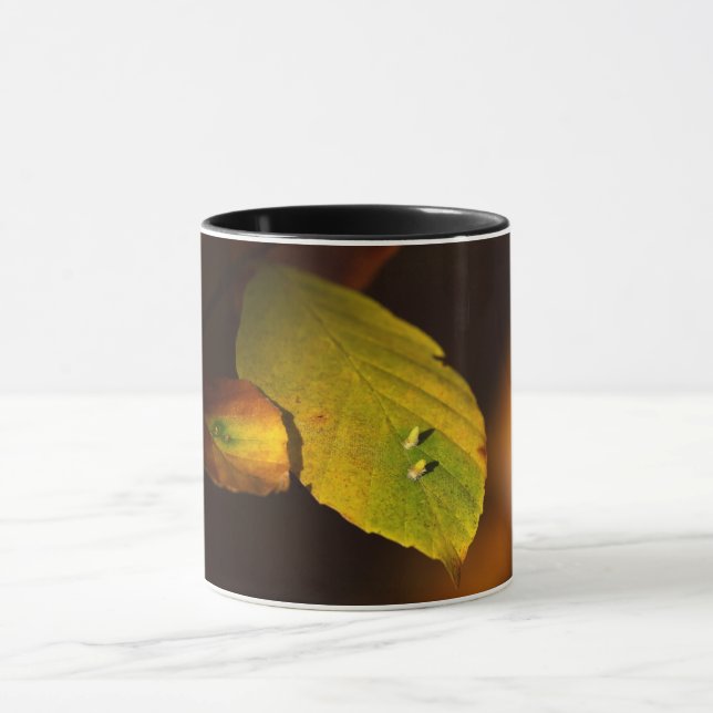 Autoszene Tasse (Zentrum)