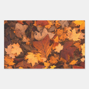 Autum-Blätter Rechteckiger Aufkleber