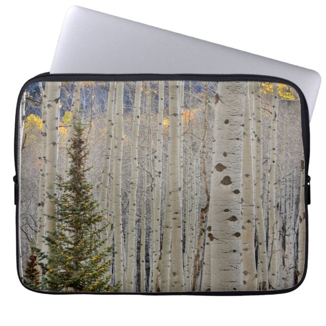 Autumn Aspen Groves | Colorado Rocky Mountains Laptopschutzhülle (Vorderseite)