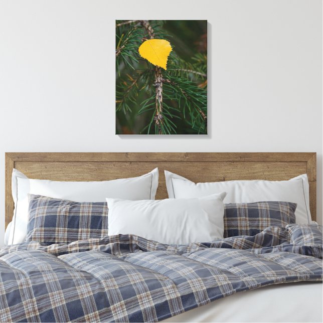 Autumn Aspen Leaf auf Evergreen Kontrast Fotografi Leinwanddruck (Insitu (Schlafzimmer))