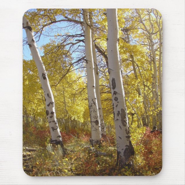 Autumn Aspen Trees Mountain Splendor Mousepad (Vorne)