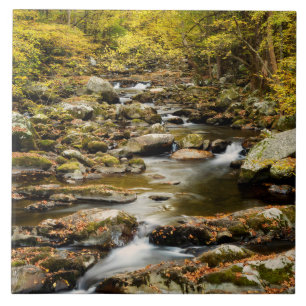 Autumn at Big Creek Fliese