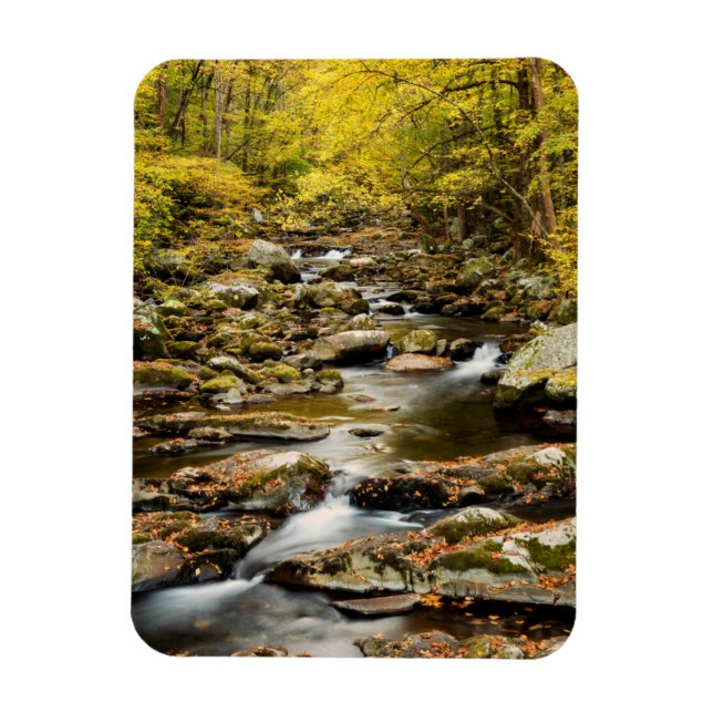 Autumn at Big Creek Magnet (Vertikal)