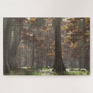Autumn Bayou