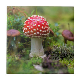 Autumn Beauty Fliese