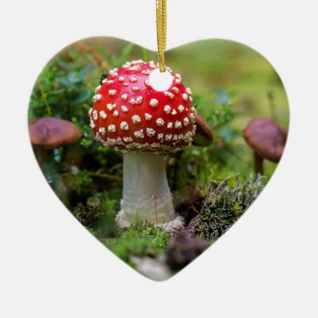 Autumn Beauty Keramik Ornament (Vorne)