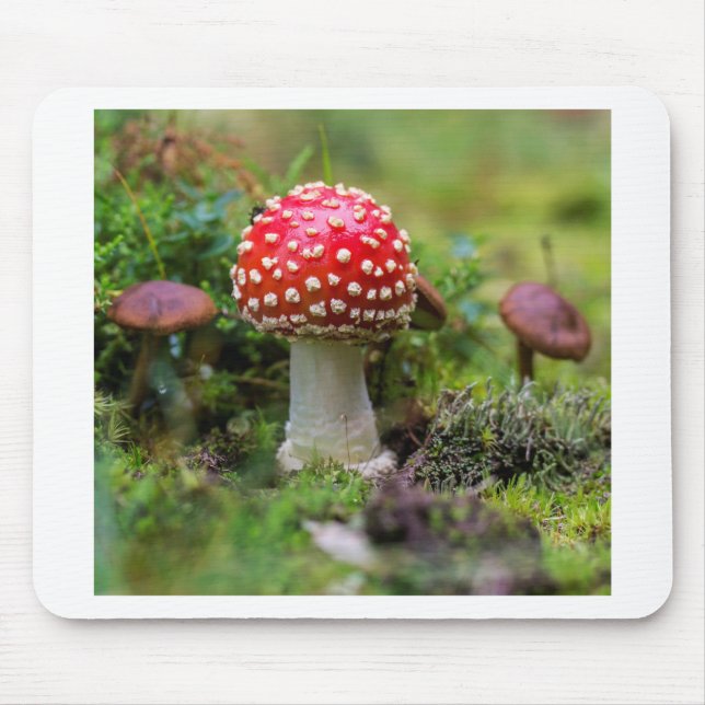 Autumn Beauty Mousepad (Vorne)