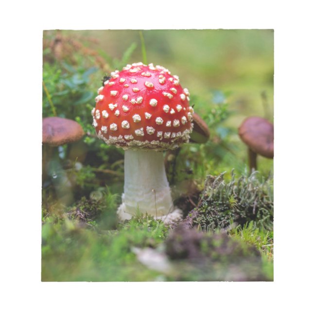 Autumn Beauty Notizblock (Vorderseite)