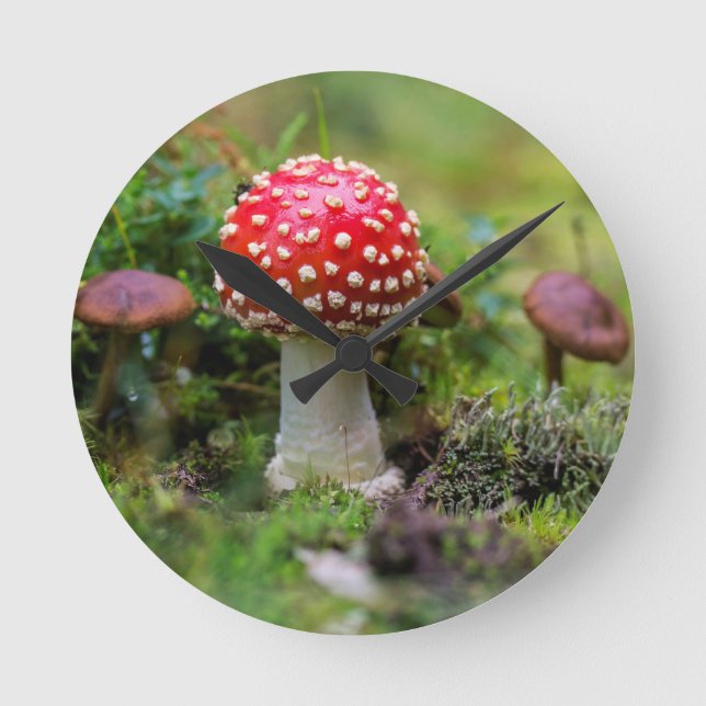 Autumn Beauty Runde Wanduhr (Vorderseite)