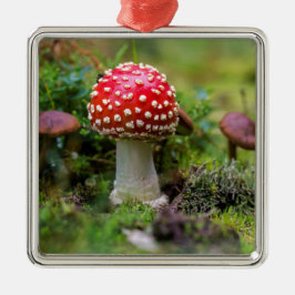 Autumn Beauty Silbernes Ornament