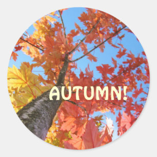 Autumn belässt Aufkleber für benutzerdefinierte He