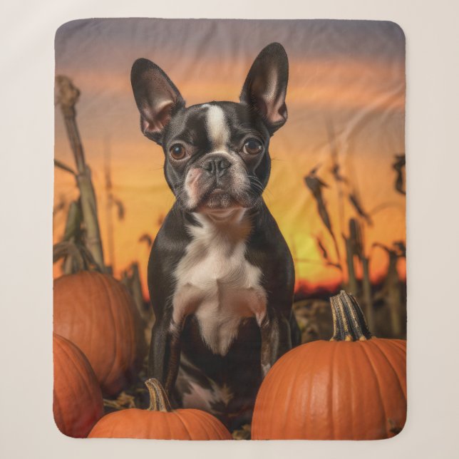 Autumn Boston Terrier Sherpadecke (Vorderseite)