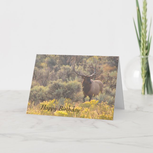 Autumn Bull Elk Custom Happy Birthday Card Karte (Vorderseite)