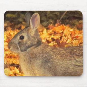 Autumn Bunny Mousepad