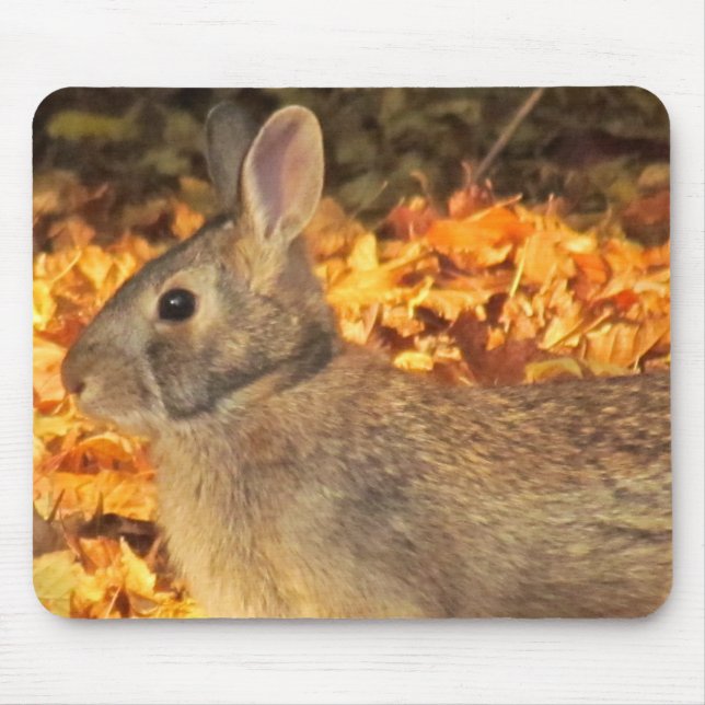 Autumn Bunny Mousepad (Vorne)