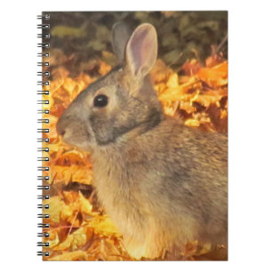 Autumn Bunny Notizblock